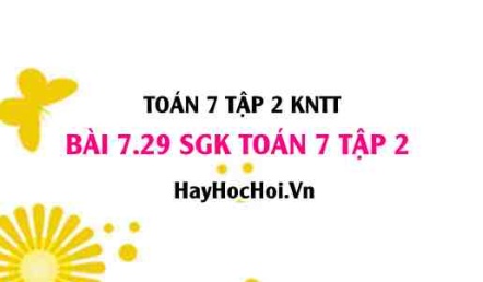 Bài 7.29 SGK Toán 7 tập 2 Kết nối tri thức